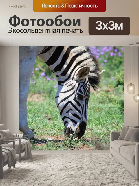 Фотообои Зебра выпас