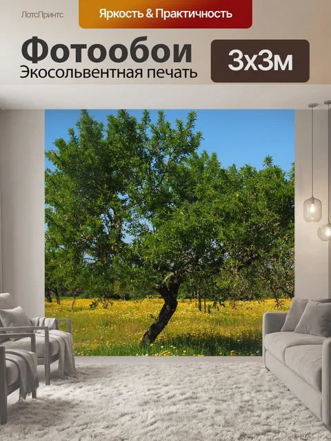 Фотообои Оливковое дерево