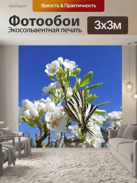 Фотообои Цветок