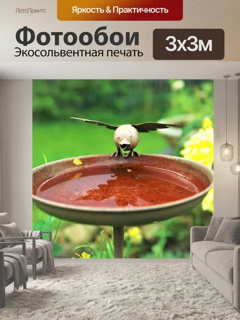 Фотообои Птица