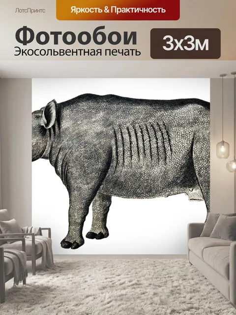 Фотообои Носорог