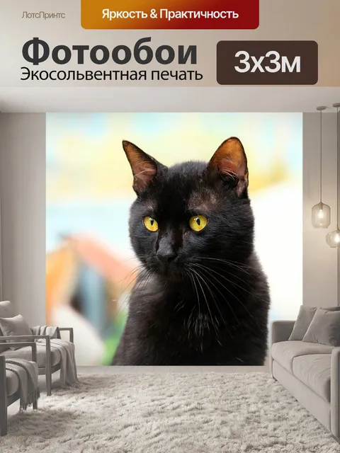 Фотообои Кошка