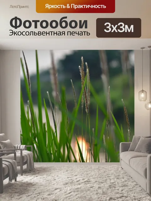 Фотообои Тростник