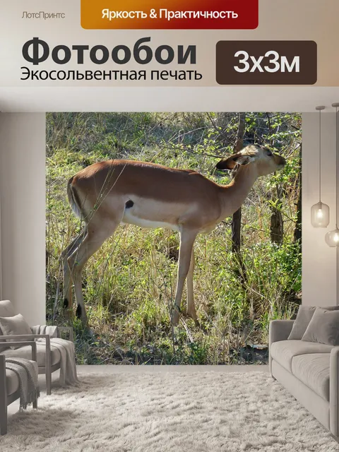 Фотообои Южная африка