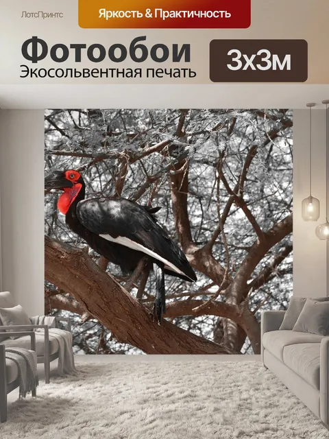 Фотообои Птицы