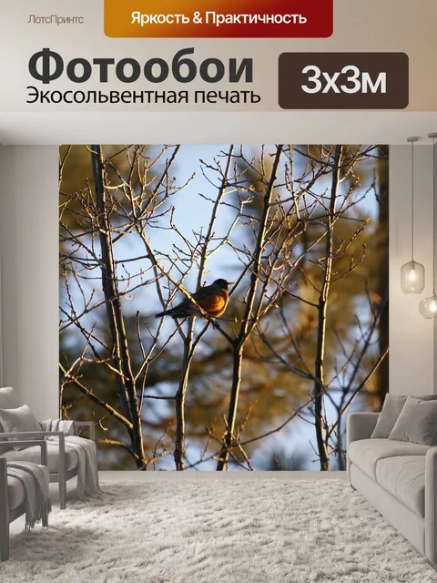 Фотообои Птица