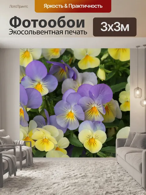 Фотообои Фиолетовые и желтые пастельные анютины г