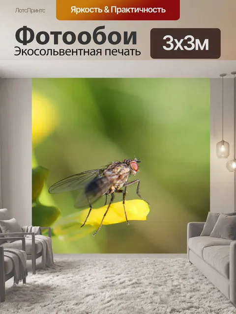 Фотообои Летать