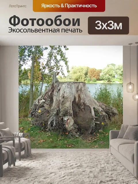 Фотообои Перемещенного в пень