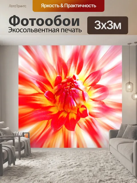 Фотообои Окрашены в красный цвет желтый цветок
