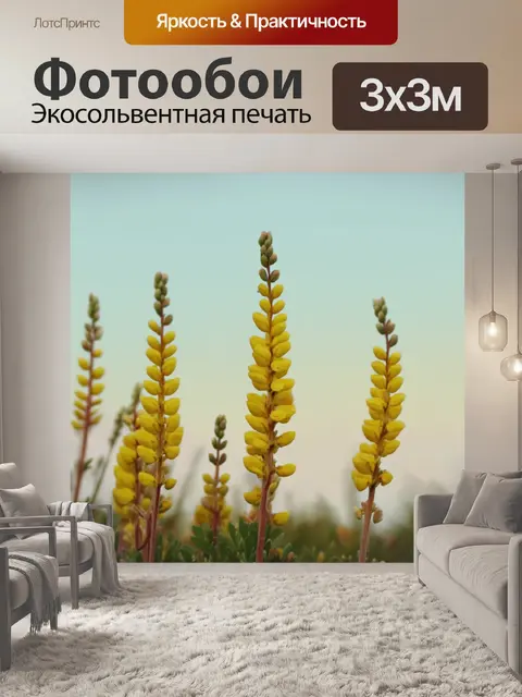 Фотообои пахистахис в нежном вечернем свете, желтые бутоны слегка подсвечены, на фоне мягких пастельных тонов неба