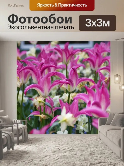 Фотообои Розовые тюльпаны