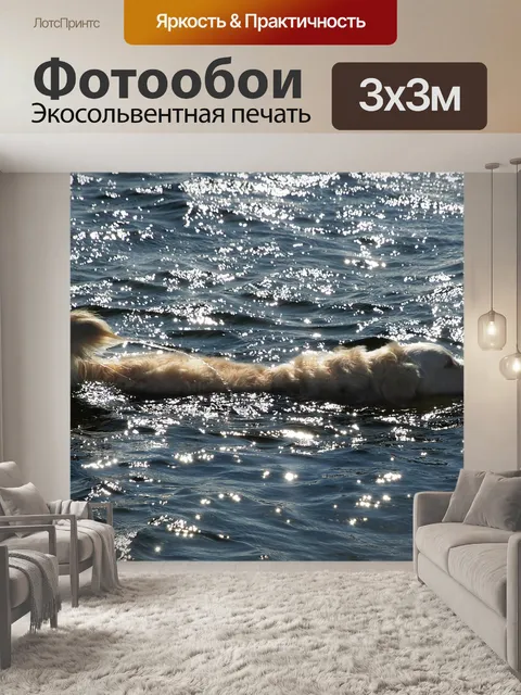 Фотообои Золотистый ретривер