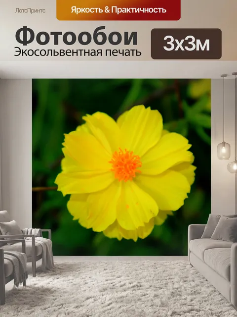 Фотообои Желтые цветы 3