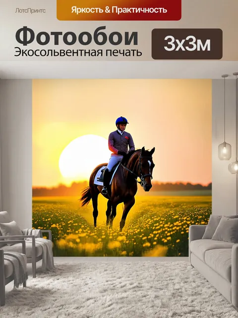 Фотообои жокей, уверенно сидящий в седле, наблюдающий за горизонтом на фоне заката