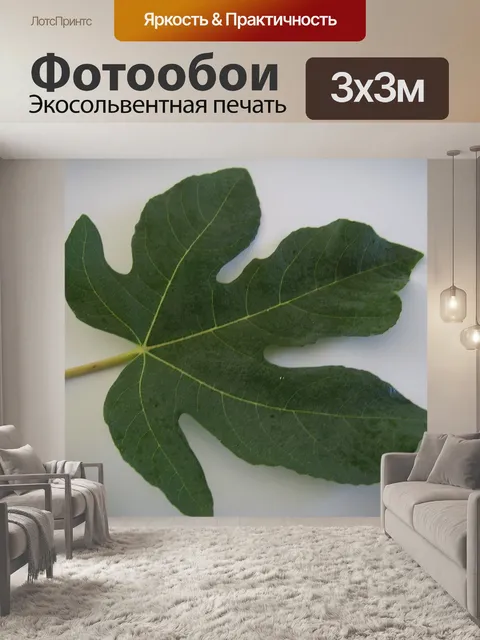 Фотообои Зеленый фиговый листок