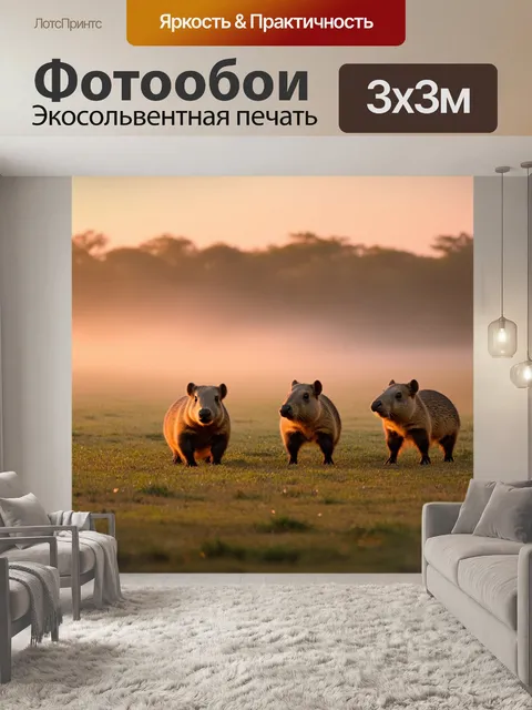 Фотообои капибары на рассвете, когда первые лучи солнца пробиваются сквозь туман