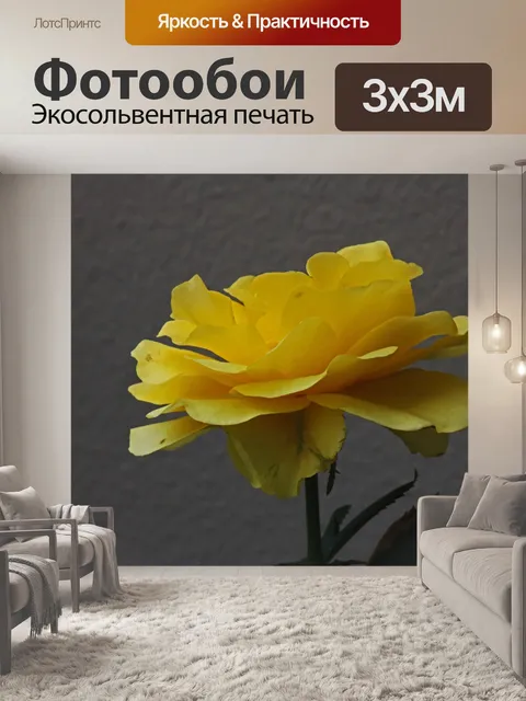 Фотообои открытая желтая роза на кусте