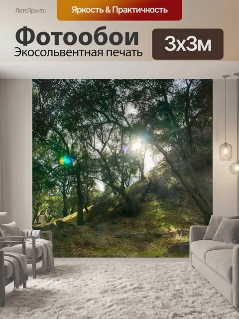 Фотообои Вс Flare в деревьях