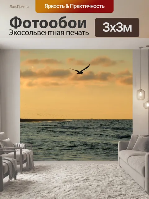 Фотообои Чайка