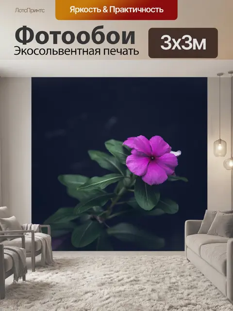 Фотообои Цветы