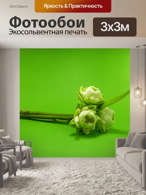 Фотообои Цветок белого лотоса