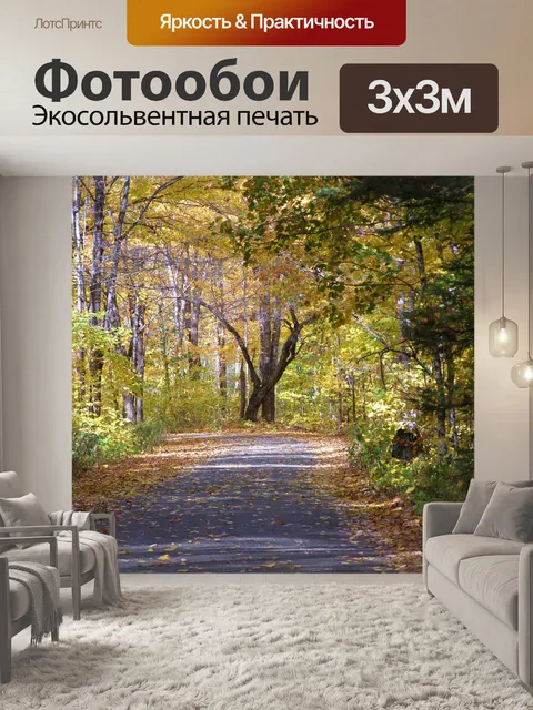 Фотообои Красивая дорога страны, в осень