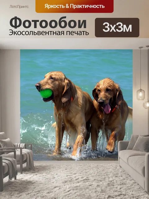 Фотообои Собаки