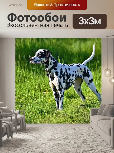 Фотообои Далматин собака