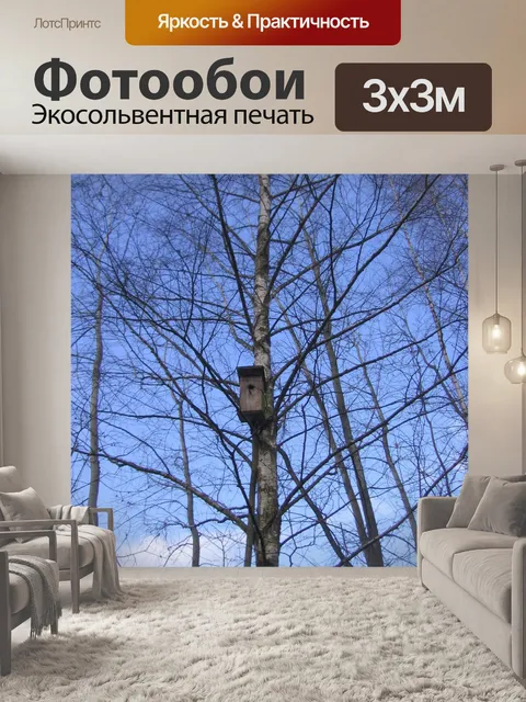 Фотообои Скворечник