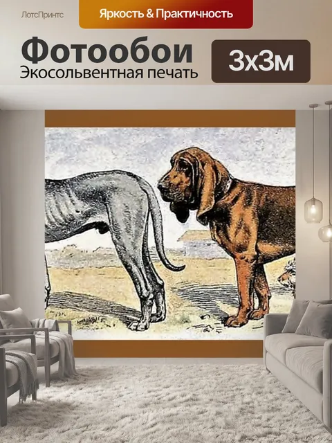 Фотообои Собаки от Адольфа Милло