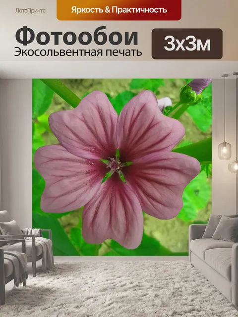 Фотообои Светло-фиолетовый цветок