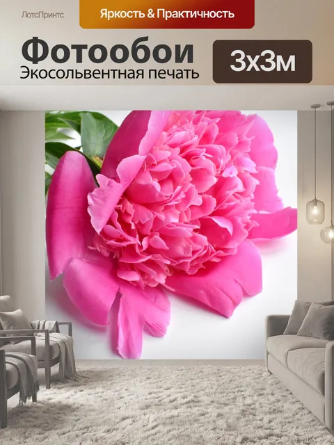 Фотообои Пион