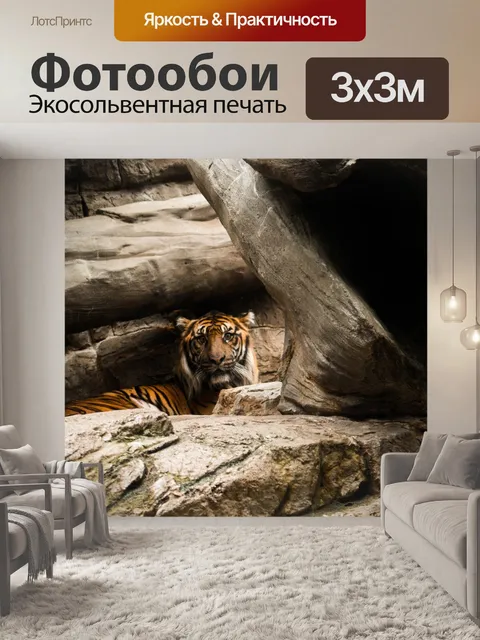 Фотообои Тигр