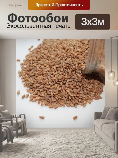 Фотообои Wheat seeds