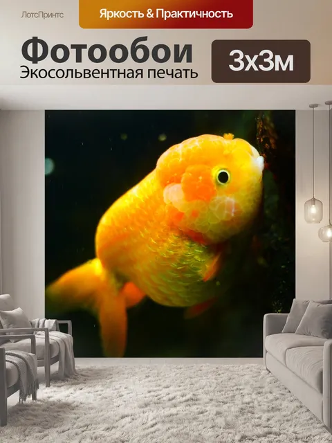 Фотообои Золотая рыбка