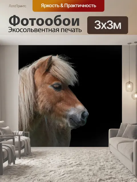 Фотообои Пони, Шетландский пони, маленькая лошадь
