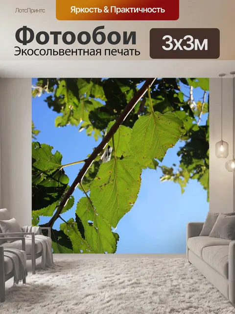 Фотообои зеленые листья тутового дерева