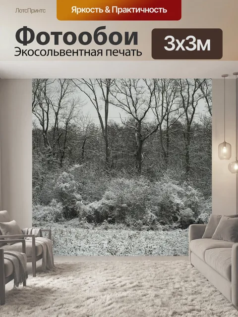 Фотообои Опушка леса