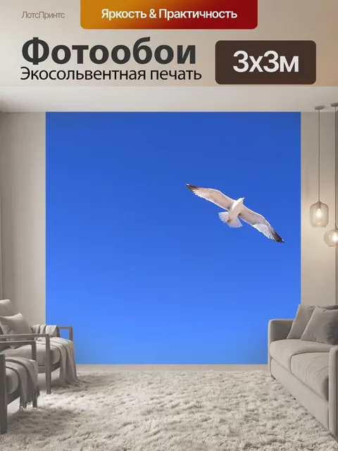 Фотообои Чайка
