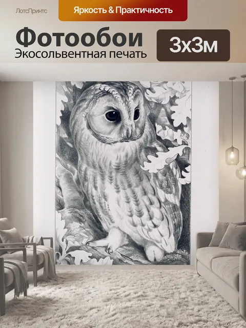 Фотообои Винтажная иллюстрация совы