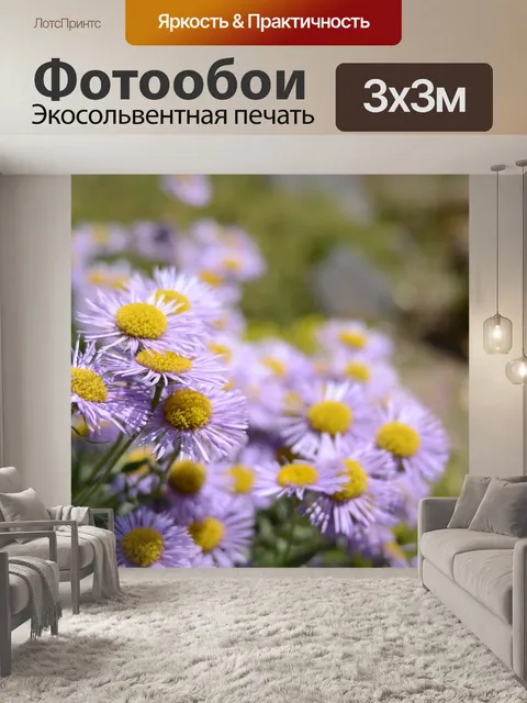Фотообои Цветок