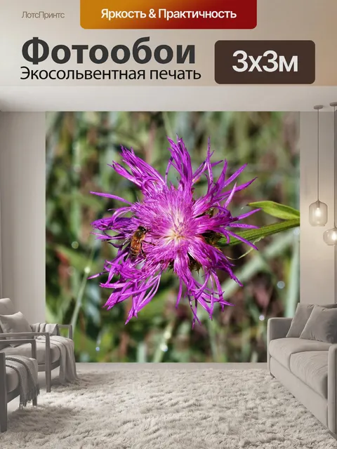 Фотообои Американская цветочная корзина и пчела