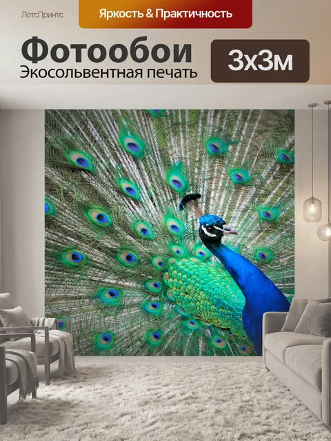 Фотообои Павлин