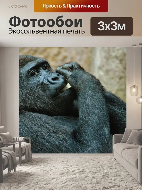 Фотообои Обезьяна