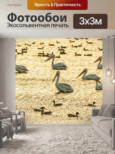 Фотообои Белые пеликаны