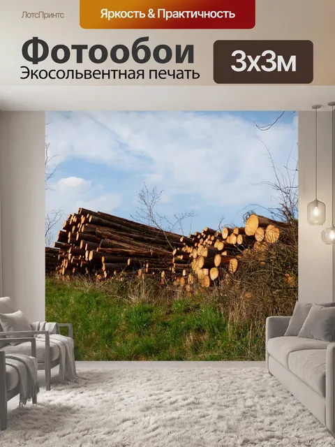 Фотообои Стволы