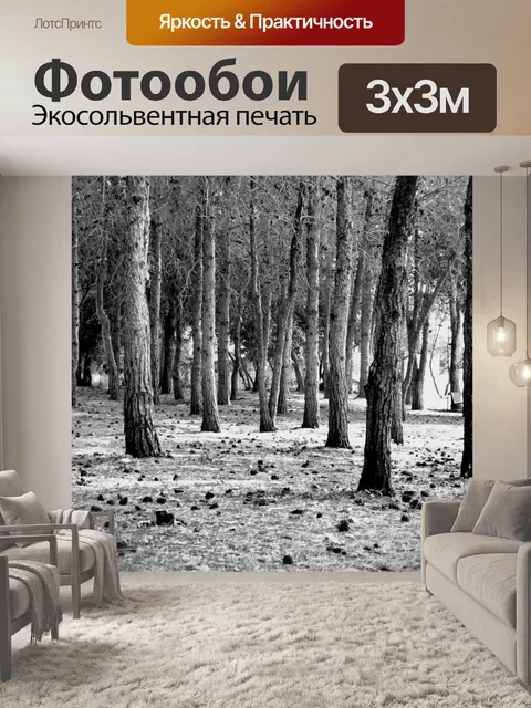Фотообои Лес в черно-белом