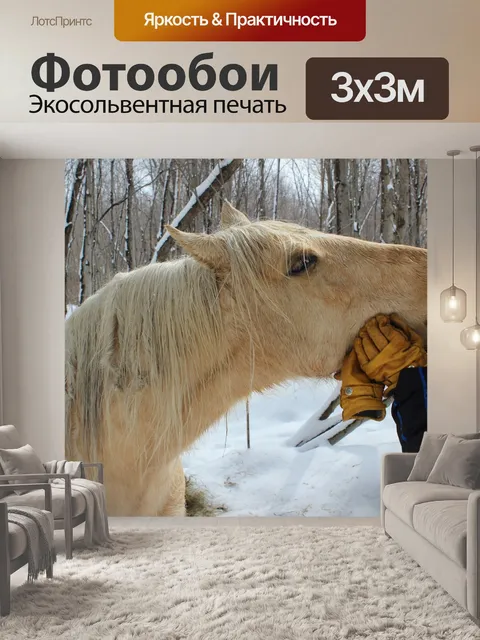 Фотообои Лошадь