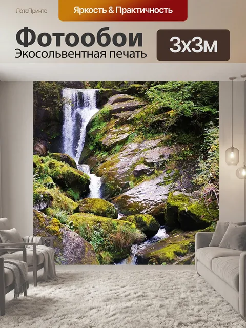 Фотообои Черный лес